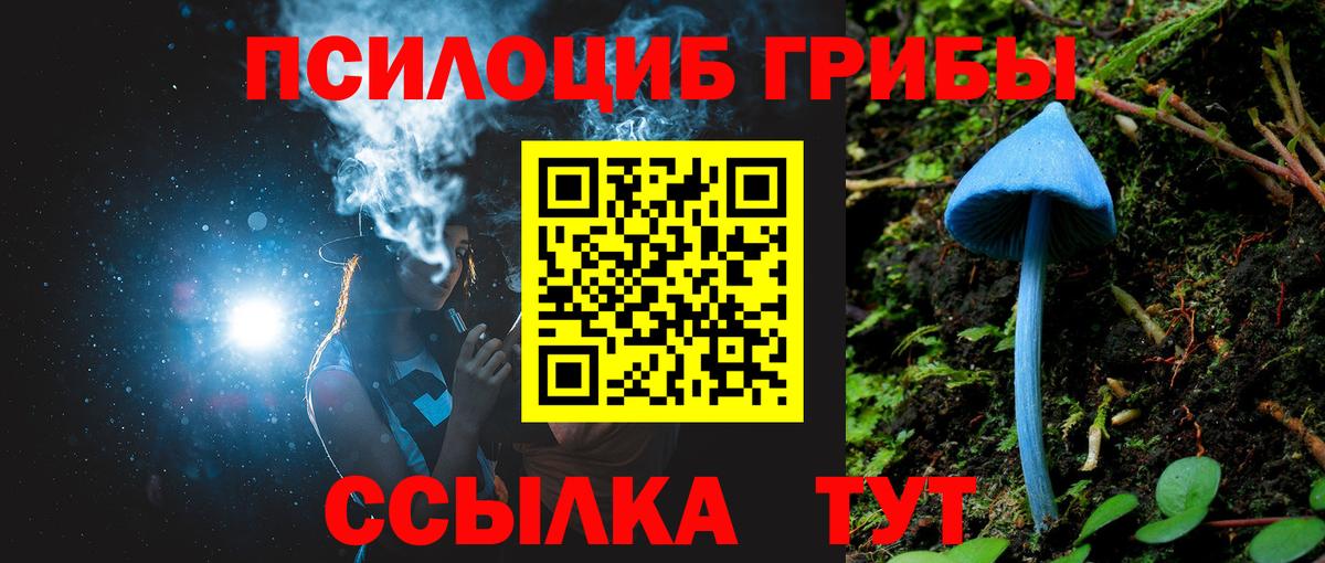 Галлюциногенные грибы прущие грибы  Вход с VPN  Псилоцибиновые грибы Psilocybine cubensis  Бирск 